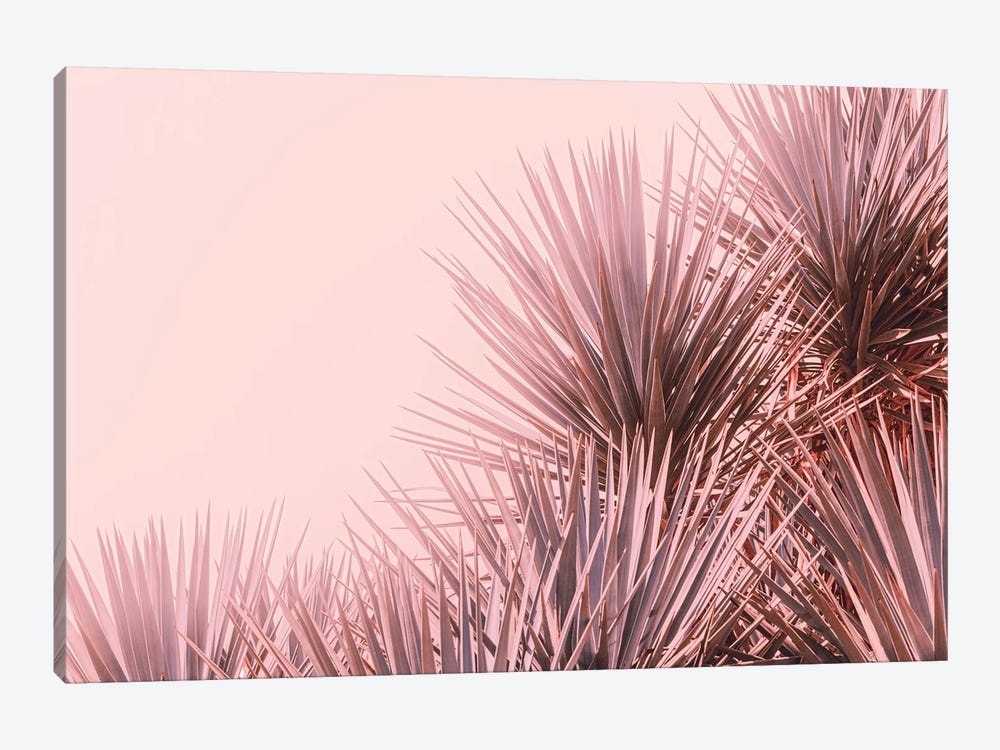 Boho Pink Palms by Ann Hudec 1-piece Canvas Art Print