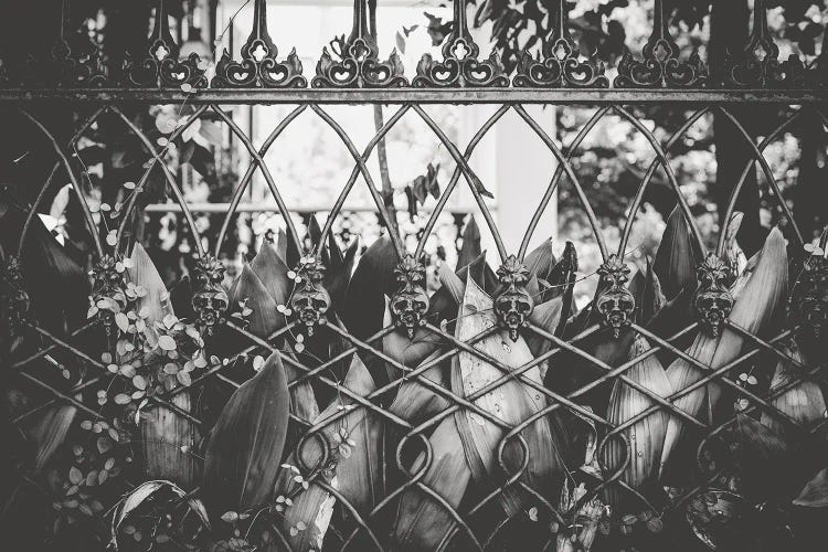 Skull Fence New Orleans