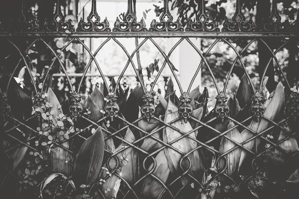 Ann Hudec: Skull Fence New Orleans by Ann Hudec