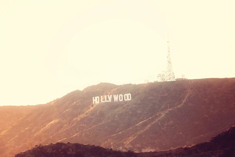 Hollywood Gold No. 2 by Ann Hudec wall art