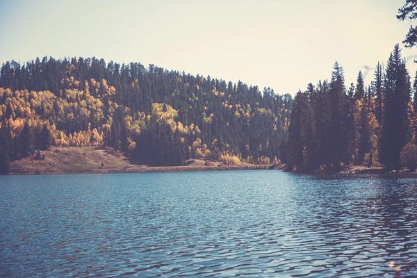 Ann Hudec: Colorado Mountain Lake In Autumn by Ann Hudec