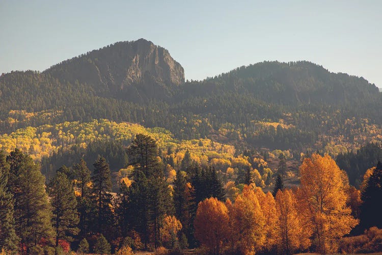 Colorful Colorado Autumn In The Mountains