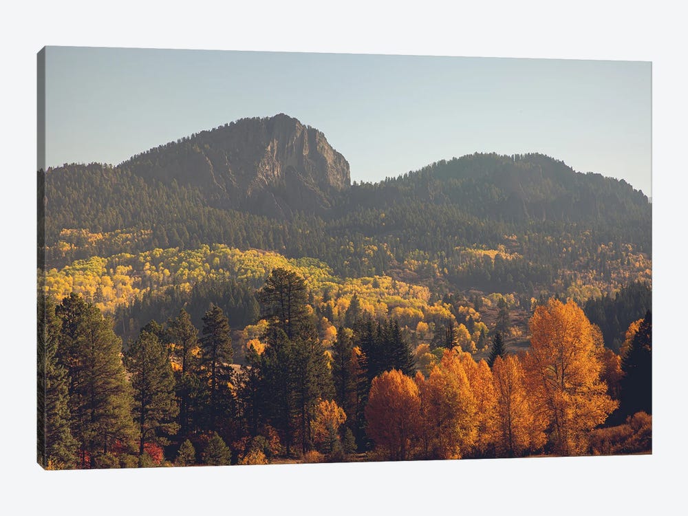 Colorful Colorado Autumn In The Mountains by Ann Hudec 1-piece Canvas Art