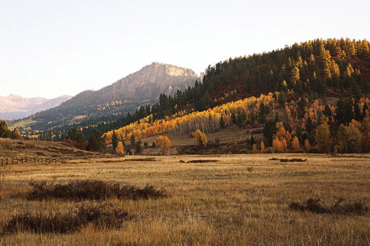 Colorful Colorado Autumn In The Mountains II