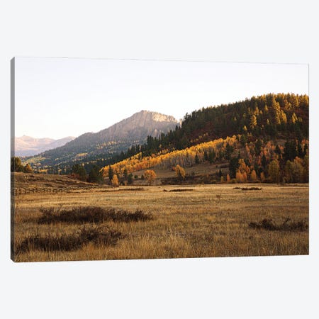 Colorful Colorado Autumn In The Mountains II Canvas Print #AHD233} by Ann Hudec Canvas Print