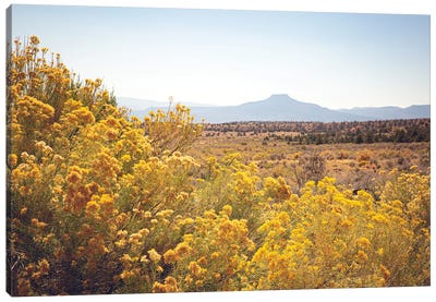 New Mexico Gold Canvas Art Print - New Mexico Art
