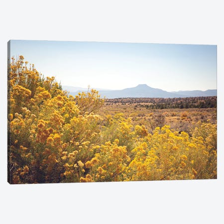New Mexico Gold Canvas Print #AHD242} by Ann Hudec Canvas Art