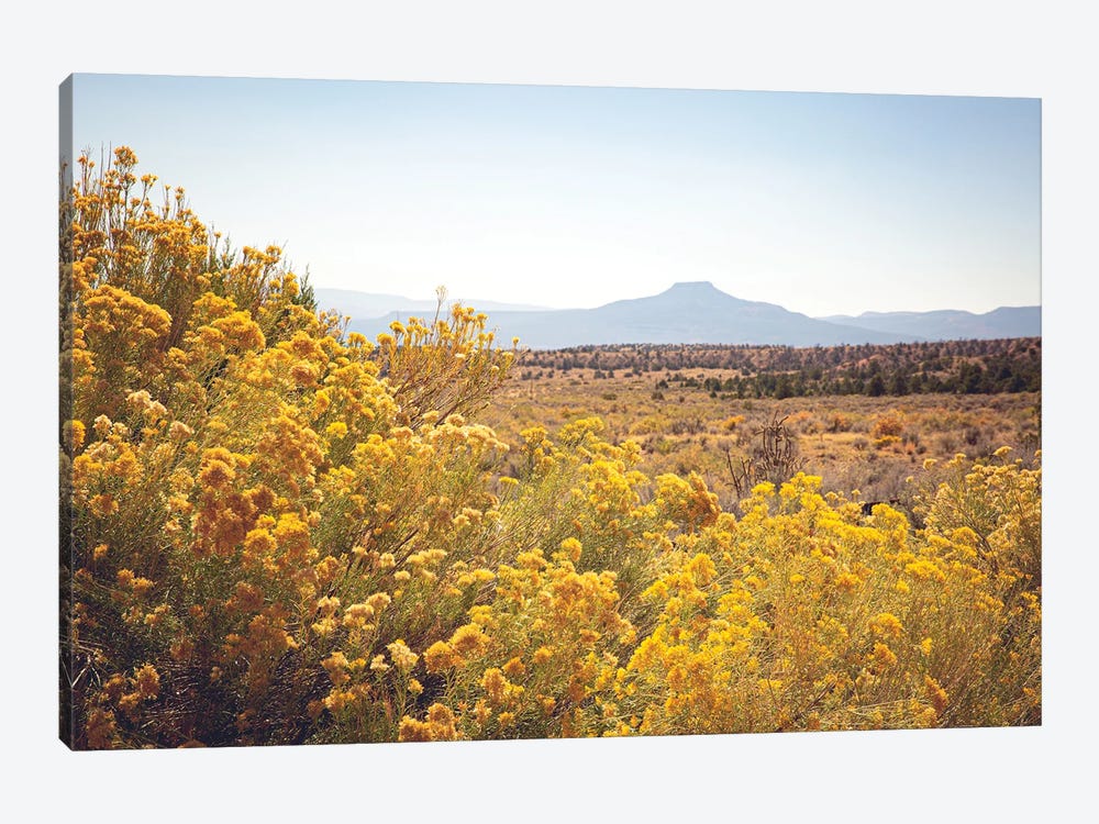 New Mexico Gold by Ann Hudec 1-piece Canvas Print