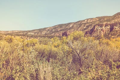 New Mexico Gold II by Ann Hudec art print