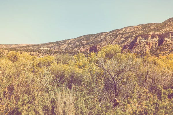 Ann Hudec: New Mexico Gold II by Ann Hudec