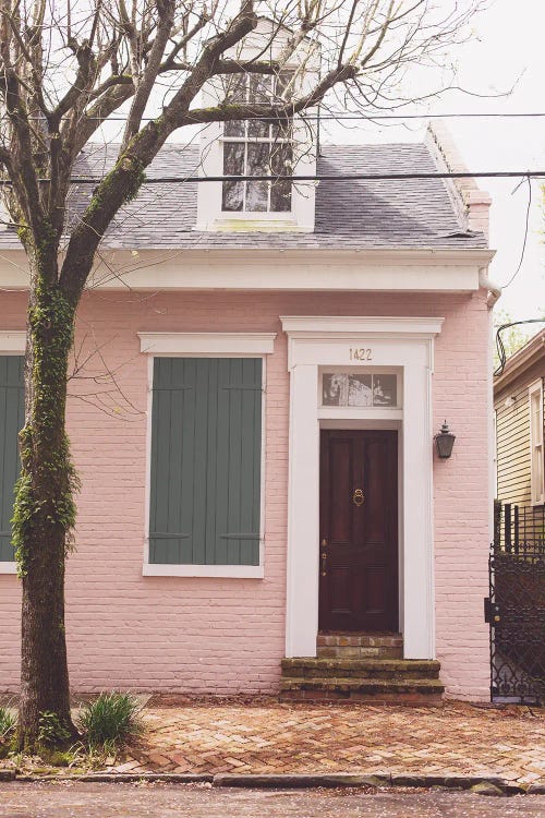 Little Pink House New Orleans Louisiana by Ann Hudec wall art