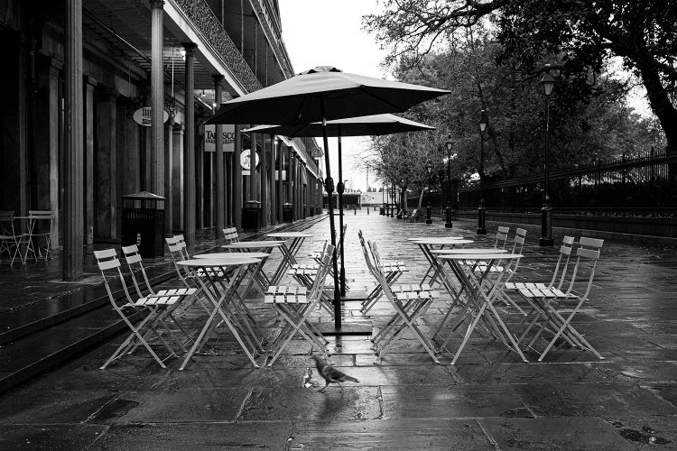 Black And White French Quarter New Orleans Cafe Art