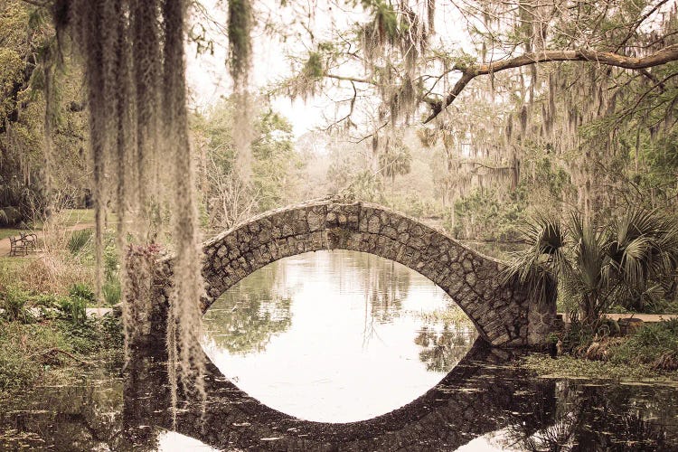 New Orleans City Park III by Ann Hudec wall art