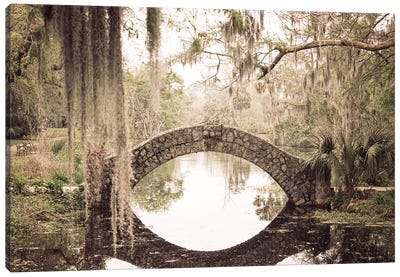 New Orleans City Park III Canvas Art Print - River, Creek & Stream Art