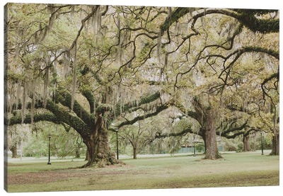 New Orleans Audubon Park III Canvas Art Print - New Orleans Art