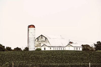 Coppertop Farm by Ann Hudec art print