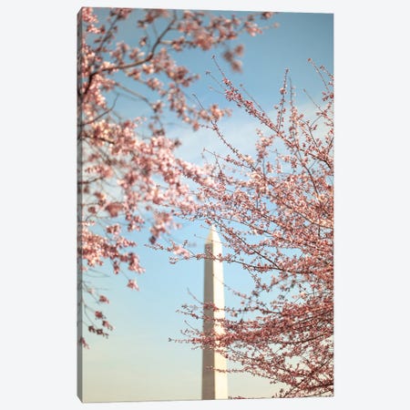 Cherry Blossoms And The Washington Monument Canvas Print #AHD290} by Ann Hudec Art Print