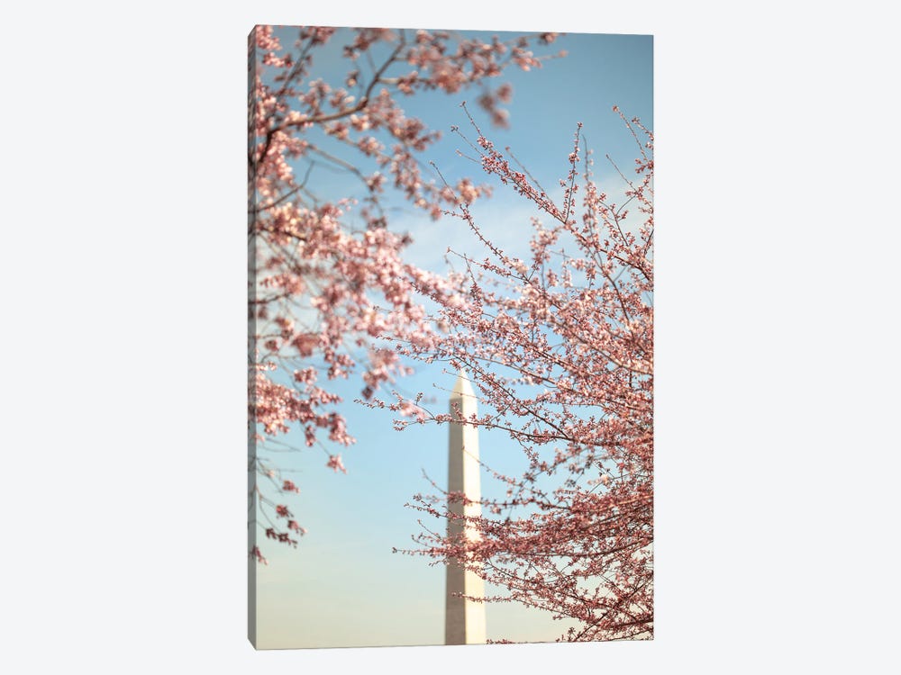 Cherry Blossoms And The Washington Monument by Ann Hudec 1-piece Canvas Art