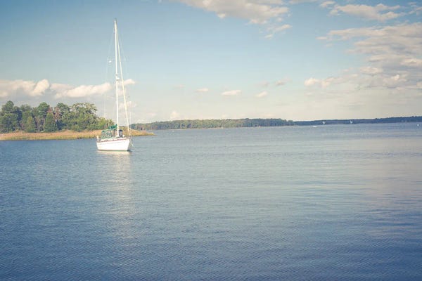 Ann Hudec: Morning In Annapolis II by Ann Hudec