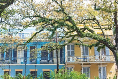 New Orleans Esplanade Avenue by Ann Hudec canvas print