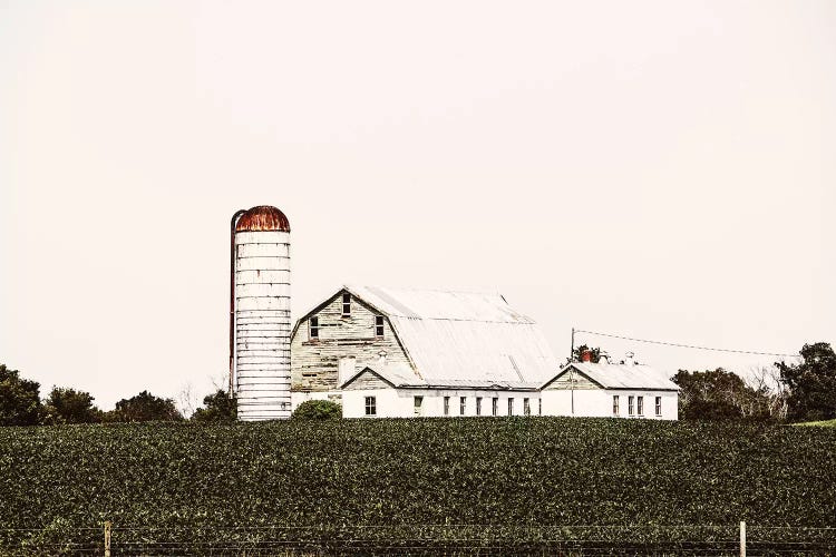 Coppertop Farm by Ann Hudec wall art