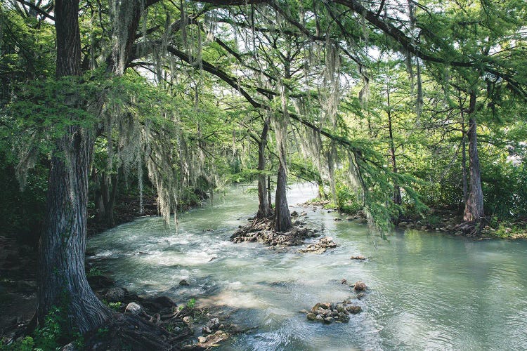 Comal River Gruene Texas Photography