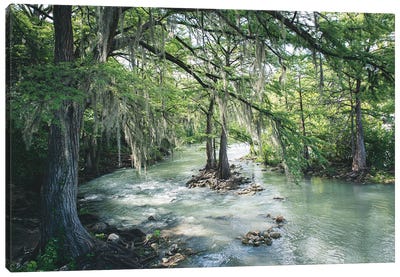 Comal River Gruene Texas Photography Canvas Art Print - Forest Art