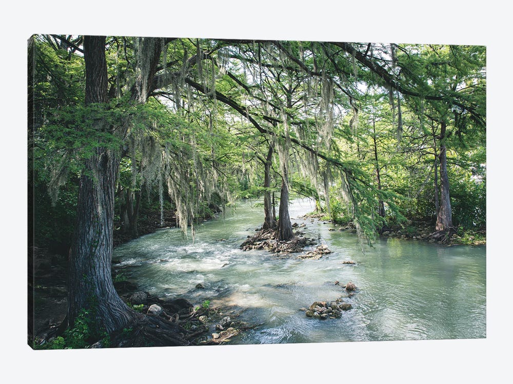 Comal River Gruene Texas Photography by Ann Hudec 1-piece Canvas Art