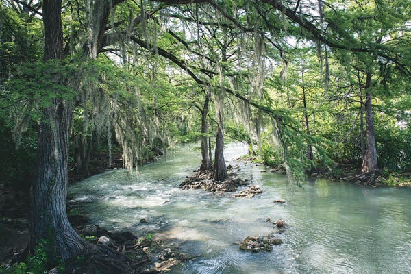 Large Photography - Canvas Prints: Comal River Gruene Texas Photography by Ann Hudec