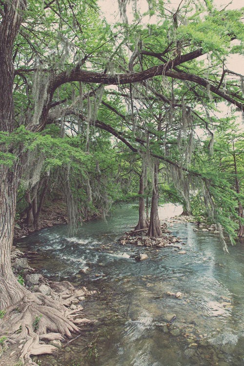 Texas Hill Country Comal River Photography