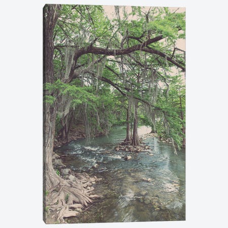 Texas Hill Country Comal River Photography Canvas Print #AHD301} by Ann Hudec Canvas Art Print