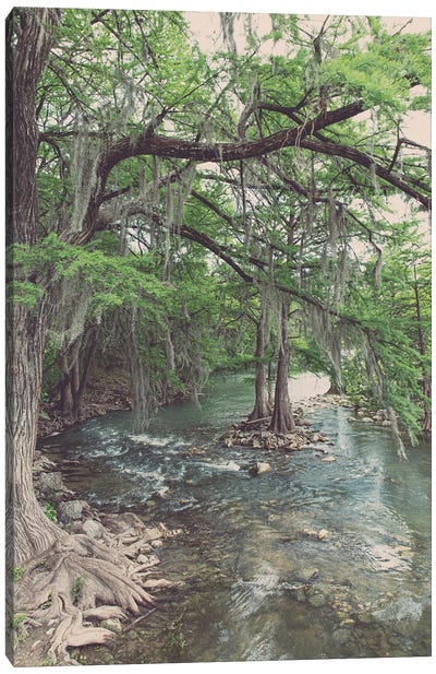 Texas Hill Country Comal River Photography Canvas Art Print - Texas Art