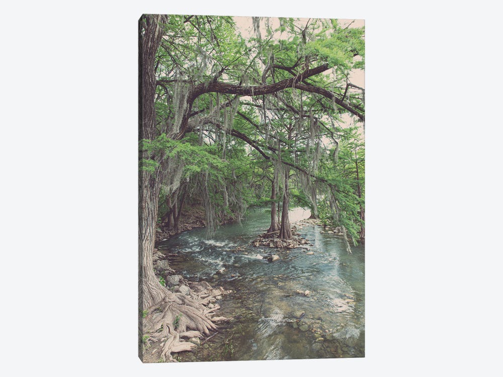 Texas Hill Country Comal River Photography by Ann Hudec 1-piece Canvas Art Print