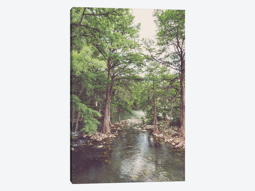 Texas Hill Country II Comal River Photography by Ann Hudec 1-piece Canvas Art