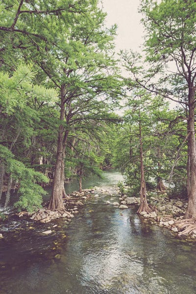Fine Art Print: Texas Hill Country II Comal River Photography by Ann Hudec