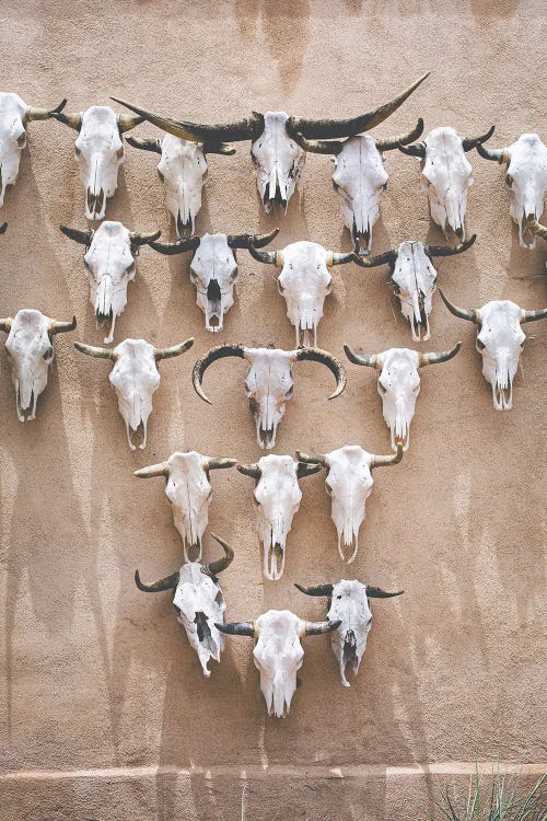 Western Relics Marfa Texas Photography by Ann Hudec wall art