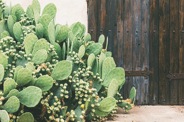 Ann Hudec: Colors Of West Texas by Ann Hudec