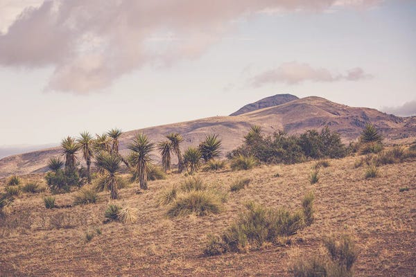 Ann Hudec: Sunset Over West Texas by Ann Hudec