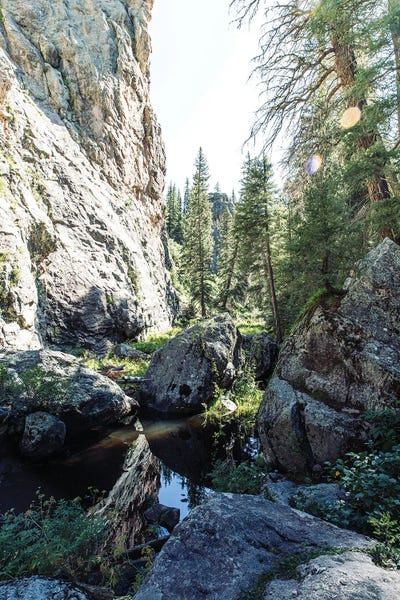 New Mexico Jemez Mountains Landscape by Ann Hudec art print