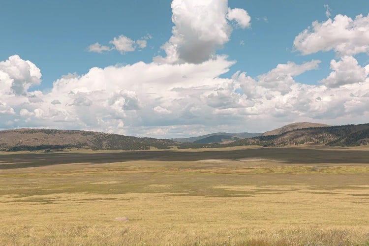 New Mexico Big Sky Country by Ann Hudec wall art