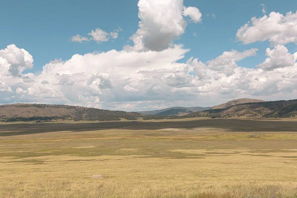 New Mexico: New Mexico Big Sky Country by Ann Hudec