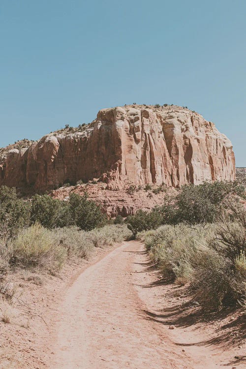 Desert Path Southwestern Landscape