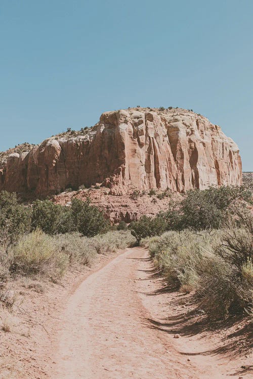 Desert Path Southwestern Landscape by Ann Hudec wall art