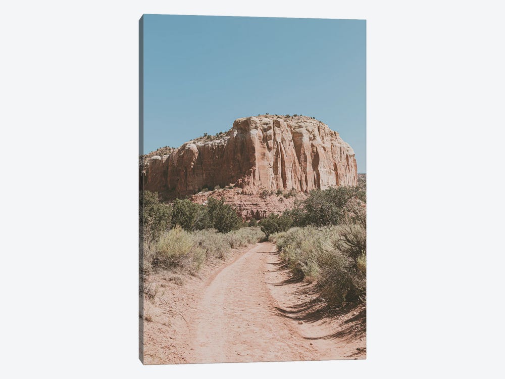 Desert Path Southwestern Landscape by Ann Hudec 1-piece Art Print