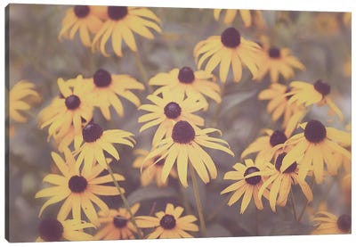 Summer Wildflowers Black Eyed Susans Canvas Art Print - Ann Hudec