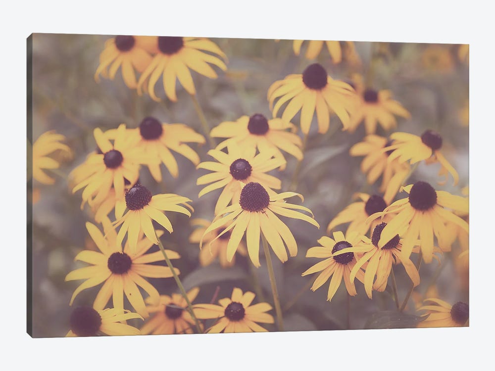 Summer Wildflowers Black Eyed Susans by Ann Hudec 1-piece Canvas Art
