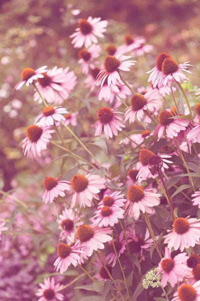 Summer Of Love by Ann Hudec art print