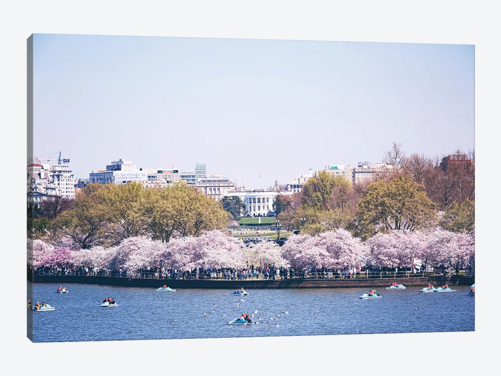 Washington DC In Bloom by Ann Hudec 1-piece Canvas Wall Art