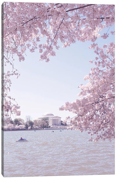 Washington DC In Bloom II Canvas Art Print - Travel Journal