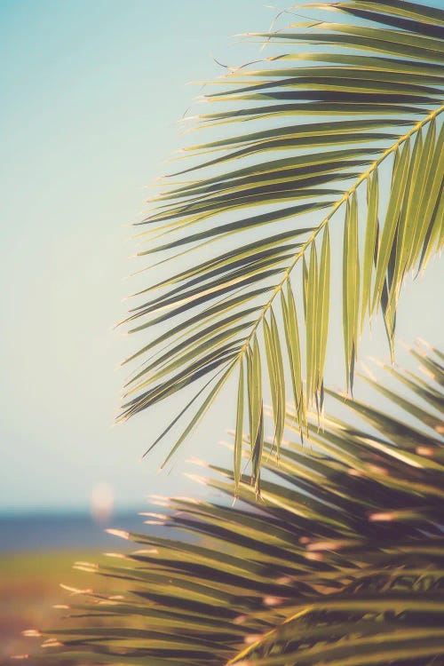 Key West Morning by Ann Hudec wall art